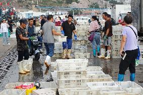 Seafood Supply in Qingdao