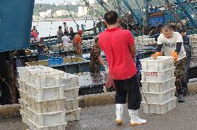 Seafood Supply in Qingdao