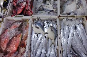 Seafood Supply in Qingdao