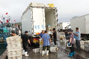 Seafood Supply in Qingdao