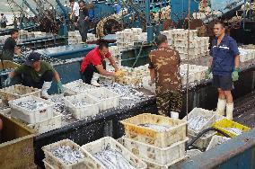 Seafood Supply in Qingdao