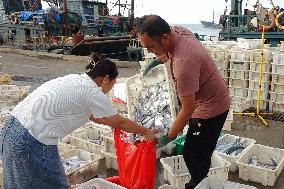 Seafood Supply in Qingdao