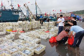 Seafood Supply in Qingdao