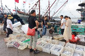 Seafood Supply in Qingdao