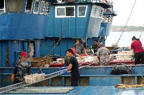 Seafood Supply in Qingdao