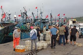 Seafood Supply in Qingdao