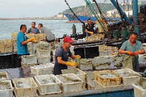 Seafood Supply in Qingdao