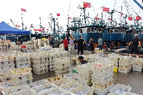 Seafood Supply in Qingdao