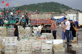 Seafood Supply in Qingdao