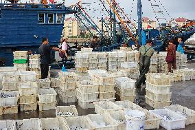 Seafood Supply in Qingdao