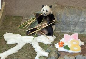 Giant panda at western Japan zoo