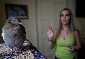 Alejandra Loera, Bird Rescuer In Mexico City