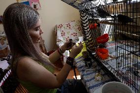 Alejandra Loera, Bird Rescuer In Mexico City