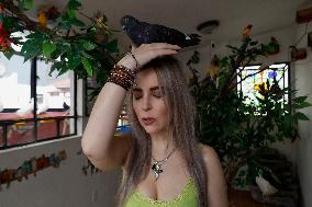 Alejandra Loera, Bird Rescuer In Mexico City