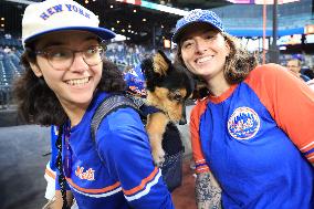 Bark In The Park At Citi Field