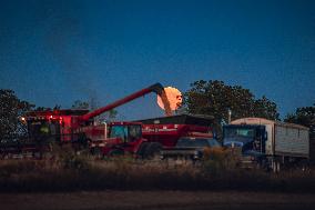 Super Moon Rises Over Soybean Harvest At Malkow Farms In Monroe, Wisconsin