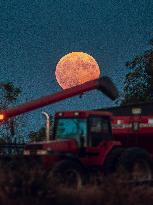 Super Moon Rises Over Soybean Harvest At Malkow Farms In Monroe, Wisconsin