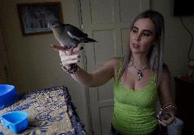 Alejandra Loera, Bird Rescuer In Mexico City