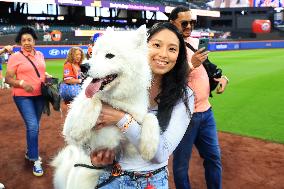 Bark In The Park At Citi Field