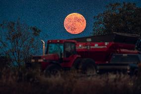 Super Moon Rises Over Soybean Harvest At Malkow Farms In Monroe, Wisconsin