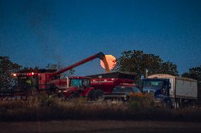 Super Moon Rises Over Soybean Harvest At Malkow Farms In Monroe, Wisconsin