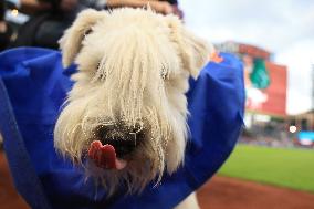 Bark In The Park At Citi Field