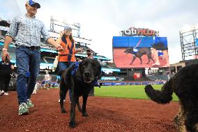 Bark In The Park At Citi Field