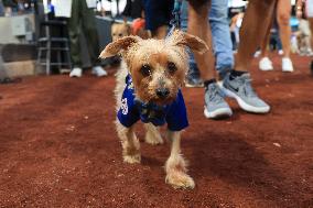 Bark In The Park At Citi Field