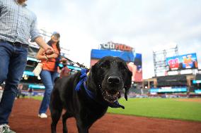 Bark In The Park At Citi Field