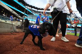 Bark In The Park At Citi Field