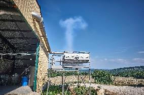 Lavandin Harvest - Alpes-de-Haute-Provence