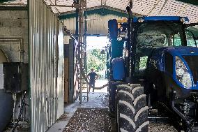 Lavandin Harvest - Alpes-de-Haute-Provence