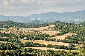 Lavandin Harvest - Alpes-de-Haute-Provence