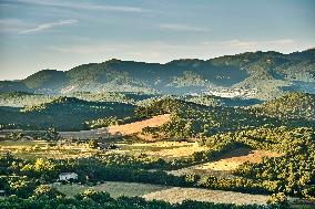 Lavandin Harvest - Alpes-de-Haute-Provence