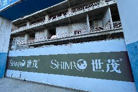 Shimao Group Loss