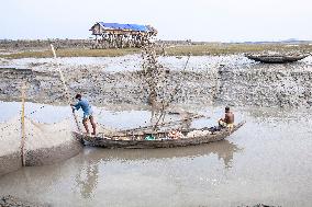 Fishing In Bangladesh