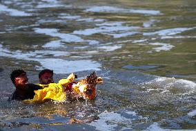 Devotees Immerse Eco-friendly Bishwokarma Idols In Nepal