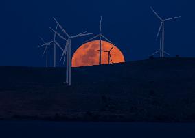 A Supermoon Rises Above The Wind Turbines - Australia