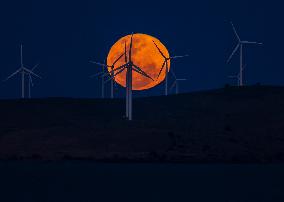 A Supermoon Rises Above The Wind Turbines - Australia