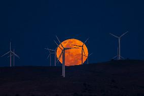 A Supermoon Rises Above The Wind Turbines - Australia