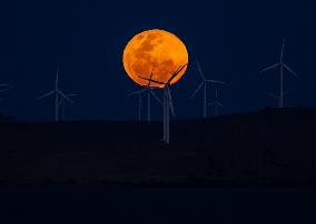 A Supermoon Rises Above The Wind Turbines - Australia