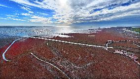 Red Beach Scenic Area - China