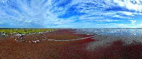 Red Beach Scenic Area - China