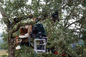 2nd Day Of Attempts By Gendarmerie To Clear The 'Verger' ZAD On The Planned A69 Highway