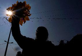 Squash Blossom In Mexico City