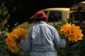 Squash Blossom In Mexico City