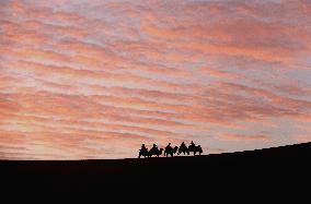 Oasis Scenic Spot In The Gobi Desert - China