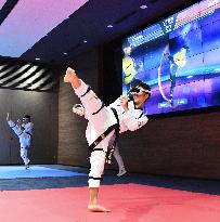 VR taekwondo