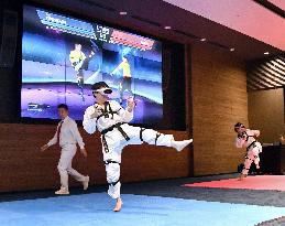 VR taekwondo