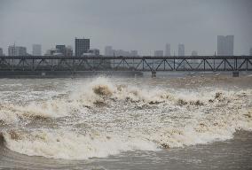 Typhoon Pulasan